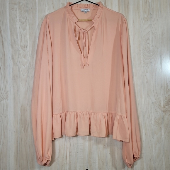 A Dip of Darling Soft Peach Long Sleeve Blouse Top Sz XXL - Picture 2 of 5